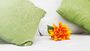 accommodation-in-port-elizabeth-newtondale-self-catering